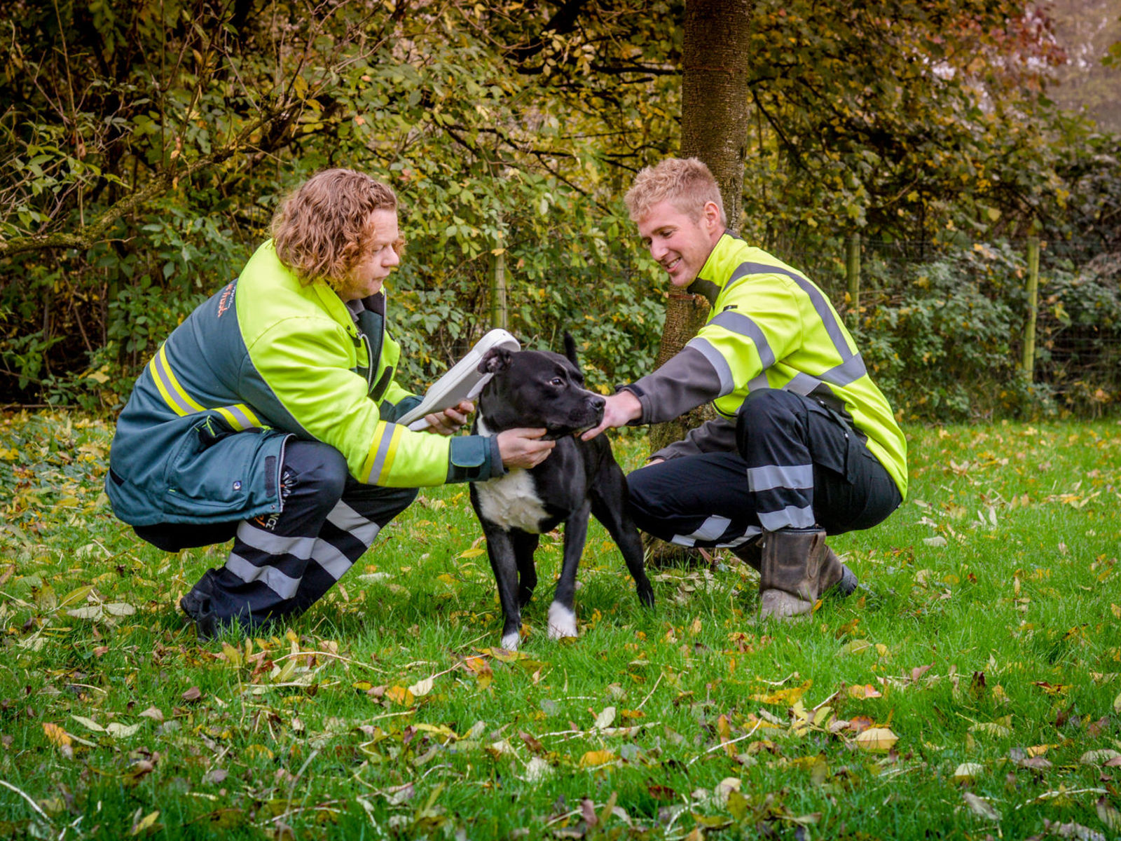 Dierenambulance | Dierenopvang en Dierenambulance de Wissel